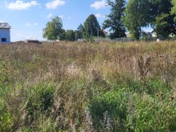 Stavební pozemky v Dobřanech 3200m2